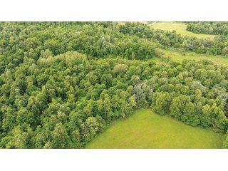 Property photo 8 - LAND FOR SALE - 196+/-ACRES IN PUTNAM COUNTY, INDIANA
