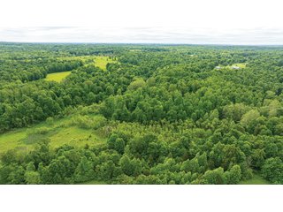 Property photo 13 - LAND FOR SALE - 196+/-ACRES IN PUTNAM COUNTY, INDIANA