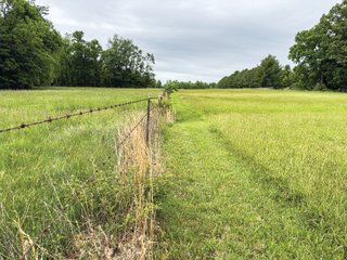 Property photo 48 - LAND FOR SALE - 196+/-ACRES IN PUTNAM COUNTY, INDIANA