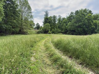 Property photo 46 - LAND FOR SALE - 196+/-ACRES IN PUTNAM COUNTY, INDIANA