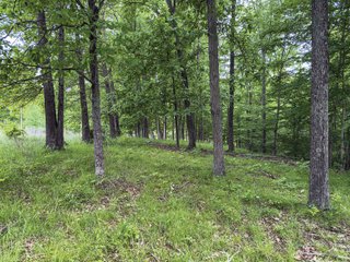Property photo 45 - LAND FOR SALE - 196+/-ACRES IN PUTNAM COUNTY, INDIANA
