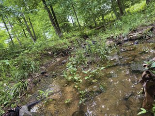 Property photo 44 - LAND FOR SALE - 196+/-ACRES IN PUTNAM COUNTY, INDIANA