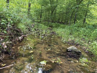 Property photo 43 - LAND FOR SALE - 196+/-ACRES IN PUTNAM COUNTY, INDIANA