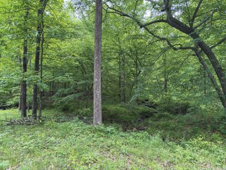 Property photo 42 - LAND FOR SALE - 196+/-ACRES IN PUTNAM COUNTY, INDIANA