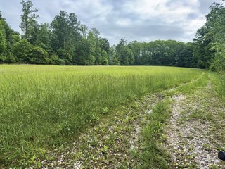 Property photo 38 - LAND FOR SALE - 196+/-ACRES IN PUTNAM COUNTY, INDIANA
