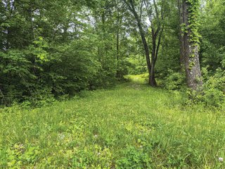 Property photo 37 - LAND FOR SALE - 196+/-ACRES IN PUTNAM COUNTY, INDIANA