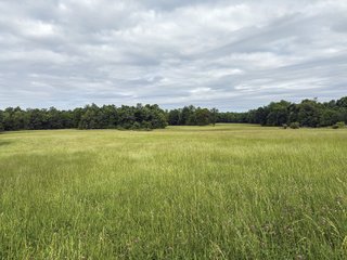 Property photo 36 - LAND FOR SALE - 196+/-ACRES IN PUTNAM COUNTY, INDIANA
