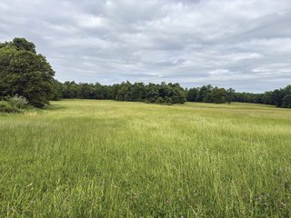 Property photo 35 - LAND FOR SALE - 196+/-ACRES IN PUTNAM COUNTY, INDIANA