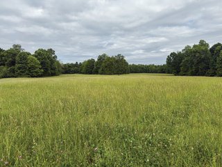 Property photo 34 - LAND FOR SALE - 196+/-ACRES IN PUTNAM COUNTY, INDIANA