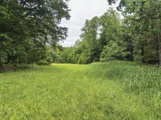 Property photo 33 - LAND FOR SALE - 196+/-ACRES IN PUTNAM COUNTY, INDIANA
