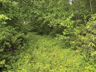 Property photo 32 - LAND FOR SALE - 196+/-ACRES IN PUTNAM COUNTY, INDIANA
