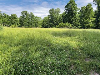 Property photo 29 - LAND FOR SALE - 196+/-ACRES IN PUTNAM COUNTY, INDIANA
