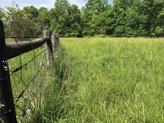 Property photo 28 - LAND FOR SALE - 196+/-ACRES IN PUTNAM COUNTY, INDIANA