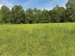 Property photo 27 - LAND FOR SALE - 196+/-ACRES IN PUTNAM COUNTY, INDIANA