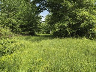 Property photo 26 - LAND FOR SALE - 196+/-ACRES IN PUTNAM COUNTY, INDIANA