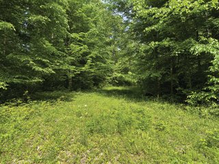 Property photo 25 - LAND FOR SALE - 196+/-ACRES IN PUTNAM COUNTY, INDIANA