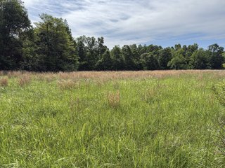 Property photo 24 - LAND FOR SALE - 196+/-ACRES IN PUTNAM COUNTY, INDIANA