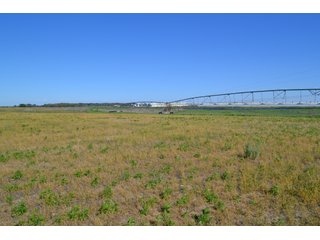 This property is nearly all tillable with productive soils and two Valley 8000 Series 6 tower pivots. There is one large field and excellent road frontage on 3 roads. Also, don't overlook the benefits of hog manure being applied to the farm and potential tax benefits to a buyer. - LAND FOR SALE - 240+/-ACRES IN JASPER COUNTY, INDIANA