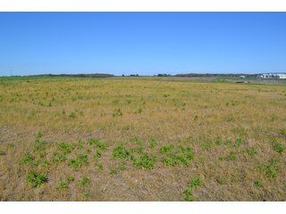 This property is nearly all tillable with productive soils and two Valley 8000 Series 6 tower pivots. There is one large field and excellent road frontage on 3 roads. Also, don't overlook the benefits of hog manure being applied to the farm and potential tax benefits to a buyer. - LAND FOR SALE - 240+/-ACRES IN JASPER COUNTY, INDIANA