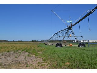 This property is nearly all tillable with productive soils and two Valley 8000 Series 6 tower pivots. There is one large field and excellent road frontage on 3 roads. Also, don't overlook the benefits of hog manure being applied to the farm and potential tax benefits to a buyer. - LAND FOR SALE - 240+/-ACRES IN JASPER COUNTY, INDIANA