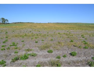 This property is nearly all tillable with productive soils and two Valley 8000 Series 6 tower pivots. There is one large field and excellent road frontage on 3 roads. Also, don't overlook the benefits of hog manure being applied to the farm and potential tax benefits to a buyer. - LAND FOR SALE - 240+/-ACRES IN JASPER COUNTY, INDIANA