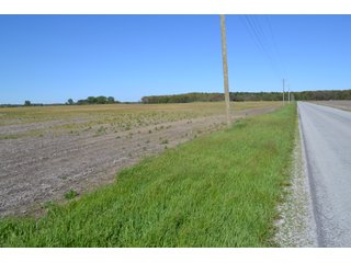 This property is nearly all tillable with productive soils and two Valley 8000 Series 6 tower pivots. There is one large field and excellent road frontage on 3 roads. Also, don't overlook the benefits of hog manure being applied to the farm and potential tax benefits to a buyer. - LAND FOR SALE - 240+/-ACRES IN JASPER COUNTY, INDIANA