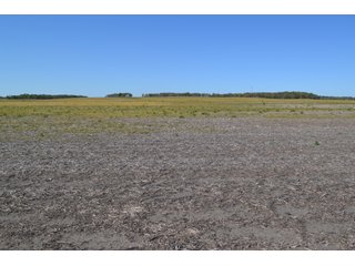 This property is nearly all tillable with productive soils and two Valley 8000 Series 6 tower pivots. There is one large field and excellent road frontage on 3 roads. Also, don't overlook the benefits of hog manure being applied to the farm and potential tax benefits to a buyer. - LAND FOR SALE - 240+/-ACRES IN JASPER COUNTY, INDIANA