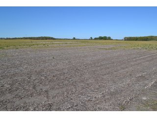 This property is nearly all tillable with productive soils and two Valley 8000 Series 6 tower pivots. There is one large field and excellent road frontage on 3 roads. Also, don't overlook the benefits of hog manure being applied to the farm and potential tax benefits to a buyer. - LAND FOR SALE - 240+/-ACRES IN JASPER COUNTY, INDIANA