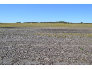 This property is nearly all tillable with productive soils and two Valley 8000 Series 6 tower pivots. There is one large field and excellent road frontage on 3 roads. Also, don't overlook the benefits of hog manure being applied to the farm and potential tax benefits to a buyer. - LAND FOR SALE - 240+/-ACRES IN JASPER COUNTY, INDIANA