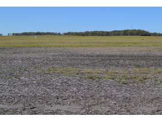 This property is nearly all tillable with productive soils and two Valley 8000 Series 6 tower pivots. There is one large field and excellent road frontage on 3 roads. Also, don't overlook the benefits of hog manure being applied to the farm and potential tax benefits to a buyer. - LAND FOR SALE - 240+/-ACRES IN JASPER COUNTY, INDIANA