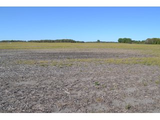 This property is nearly all tillable with productive soils and two Valley 8000 Series 6 tower pivots. There is one large field and excellent road frontage on 3 roads. Also, don't overlook the benefits of hog manure being applied to the farm and potential tax benefits to a buyer. - LAND FOR SALE - 240+/-ACRES IN JASPER COUNTY, INDIANA