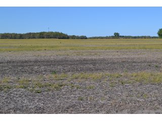 This property is nearly all tillable with productive soils and two Valley 8000 Series 6 tower pivots. There is one large field and excellent road frontage on 3 roads. Also, don't overlook the benefits of hog manure being applied to the farm and potential tax benefits to a buyer. - LAND FOR SALE - 240+/-ACRES IN JASPER COUNTY, INDIANA