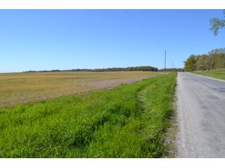 This property is nearly all tillable with productive soils and two Valley 8000 Series 6 tower pivots. There is one large field and excellent road frontage on 3 roads. Also, don't overlook the benefits of hog manure being applied to the farm and potential tax benefits to a buyer. - LAND FOR SALE - 240+/-ACRES IN JASPER COUNTY, INDIANA