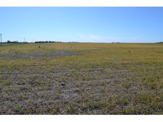 This property is nearly all tillable with productive soils and two Valley 8000 Series 6 tower pivots. There is one large field and excellent road frontage on 3 roads. Also, don't overlook the benefits of hog manure being applied to the farm and potential tax benefits to a buyer. - LAND FOR SALE - 240+/-ACRES IN JASPER COUNTY, INDIANA