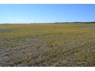 This property is nearly all tillable with productive soils and two Valley 8000 Series 6 tower pivots. There is one large field and excellent road frontage on 3 roads. Also, don't overlook the benefits of hog manure being applied to the farm and potential tax benefits to a buyer. - LAND FOR SALE - 240+/-ACRES IN JASPER COUNTY, INDIANA