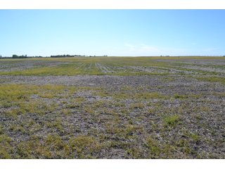 This property is nearly all tillable with productive soils and two Valley 8000 Series 6 tower pivots. There is one large field and excellent road frontage on 3 roads. Also, don't overlook the benefits of hog manure being applied to the farm and potential tax benefits to a buyer. - LAND FOR SALE - 240+/-ACRES IN JASPER COUNTY, INDIANA