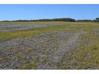 This property is nearly all tillable with productive soils and two Valley 8000 Series 6 tower pivots. There is one large field and excellent road frontage on 3 roads. Also, don't overlook the benefits of hog manure being applied to the farm and potential tax benefits to a buyer. - LAND FOR SALE - 240+/-ACRES IN JASPER COUNTY, INDIANA