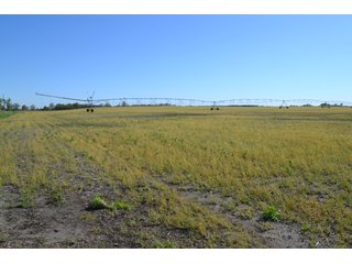 This property is nearly all tillable with productive soils and two Valley 8000 Series 6 tower pivots. There is one large field and excellent road frontage on 3 roads. Also, don't overlook the benefits of hog manure being applied to the farm and potential tax benefits to a buyer. - LAND FOR SALE - 240+/-ACRES IN JASPER COUNTY, INDIANA