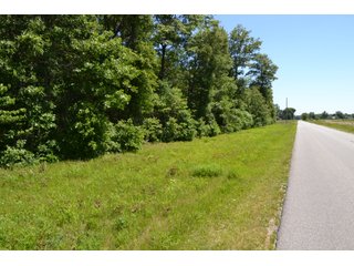 Property photo 2 - LAND FOR SALE - 26.37+/-ACRES OFFERED IN 3 TRACTS IN JASPER COUNTY, INDIANA