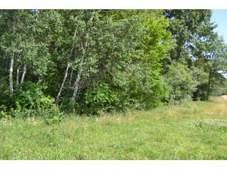 Property photo 23 - LAND FOR SALE - 26.37+/-ACRES OFFERED IN 3 TRACTS IN JASPER COUNTY, INDIANA