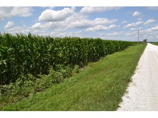 85.3+/-acres of productive tillable land with road frontage on 3 roads.   - LAND FOR SALE - 85.3+/-ACRES IN NEWTON COUNTY, INDIANA