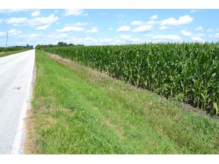 85.3+/-acres of productive tillable land with road frontage on 3 roads.   - LAND FOR SALE - 85.3+/-ACRES IN NEWTON COUNTY, INDIANA