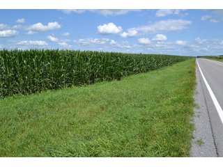 85.3+/-acres of productive tillable land with road frontage on 3 roads.   - LAND FOR SALE - 85.3+/-ACRES IN NEWTON COUNTY, INDIANA