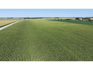 85.3+/-acres of productive tillable land with road frontage on 3 roads.   - LAND FOR SALE - 85.3+/-ACRES IN NEWTON COUNTY, INDIANA