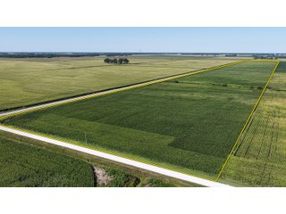 Property photo 2 - LAND FOR SALE - 85.3+/-ACRES IN NEWTON COUNTY, INDIANA
