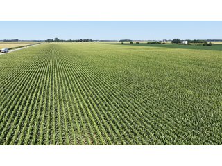 85.3+/-acres of productive tillable land with road frontage on 3 roads.   - LAND FOR SALE - 85.3+/-ACRES IN NEWTON COUNTY, INDIANA