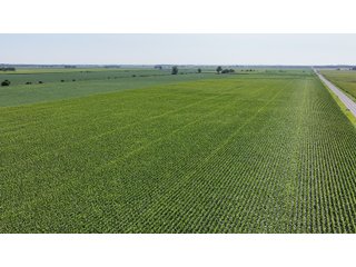 85.3+/-acres of productive tillable land with road frontage on 3 roads.   - LAND FOR SALE - 85.3+/-ACRES IN NEWTON COUNTY, INDIANA