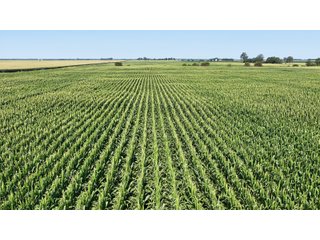 85.3+/-acres of productive tillable land with road frontage on 3 roads.   - LAND FOR SALE - 85.3+/-ACRES IN NEWTON COUNTY, INDIANA