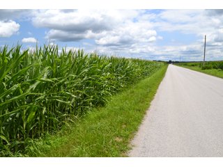 Property photo 37 - LAND FOR SALE - 129.9+/-ACRES OFFERED IN 2 TRACTS IN NEWTON COUNTY, INDIANA
