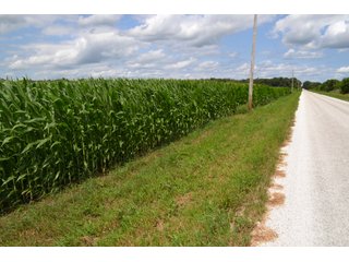 Property photo 39 - LAND FOR SALE - 129.9+/-ACRES OFFERED IN 2 TRACTS IN NEWTON COUNTY, INDIANA
